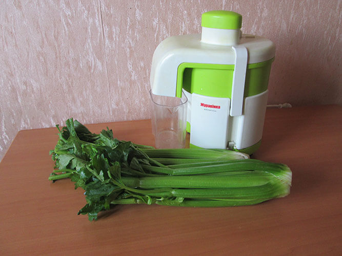 Сельдерей черешковый