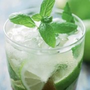 2950_pic_200x300