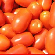 Томат Классик F1