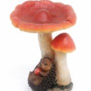 1532_pic_200x300