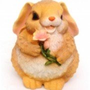 1542_pic_200x300