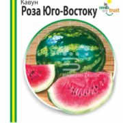 Арбуз Роза юго-востока