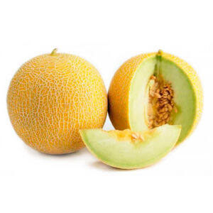 Дыня Ранняя 133