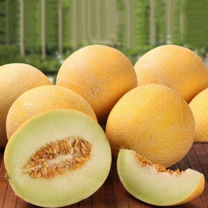 Дыня Титовка