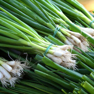 Лук на перо Параде Лук на перо Параде