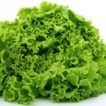 Салат Лолло Бионда