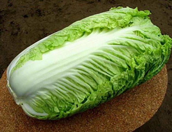 капуста пекинская юки