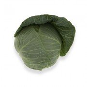 belokochannaya_srednyaya_takoma_F1