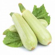 kabachok_sangrum_F1