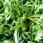 Руккола Гудита