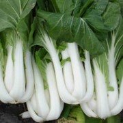 kapusta_kitayskaya_pak_choy