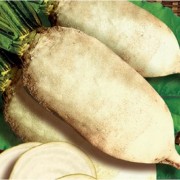 Свекла кормовая Центаур Поли Свекла кормовая Центаур Поли