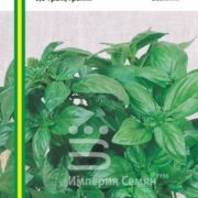 Базилик Неаполитанский гигант