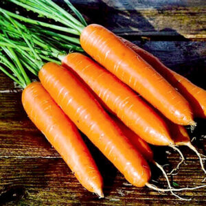 Морковь Памелла