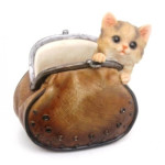 котенок в кошельке