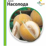 Дыня Насолода