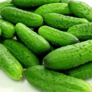 Огурец Король грядки F1