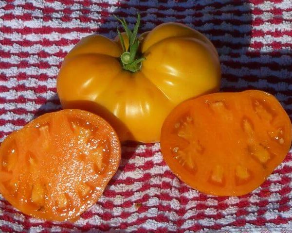 Томат Чероки Голд Томат Чероки Голд
