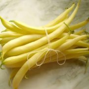 Фасоль спаржевая Лаура