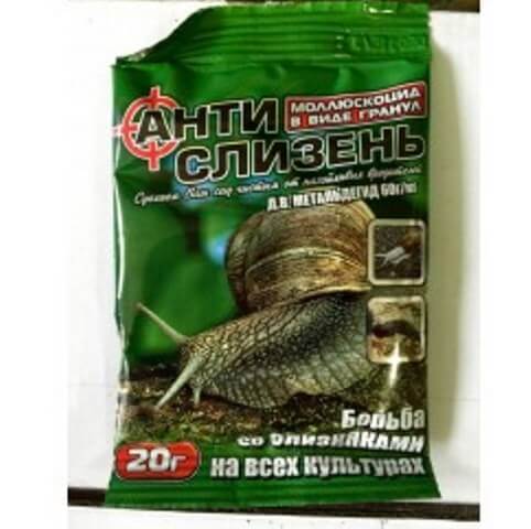 Антислизень