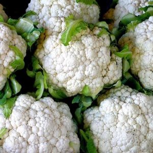 Цветная капуста Снежная корона