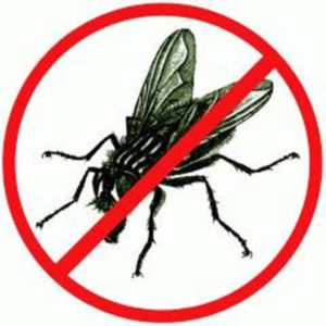 Засоби від мух