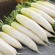 Дайкон Клык слона