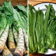 Спаржевый салат (уйсун)