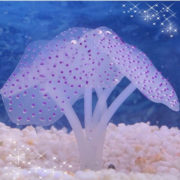 Кораллы для аквариума фиолетовый Кораллы для аквариума фиолетовый