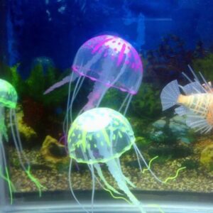 медузы для аквариума медузы для аквариума