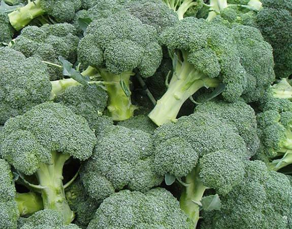 Капуста брокколи Калабрезе Капуста брокколи Калабрезе