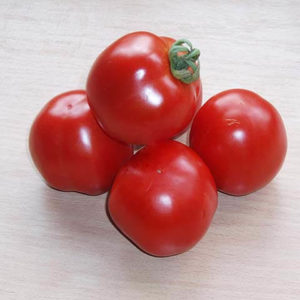 Томат Шаста F1