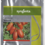 Томат Улиссе F1 Syngenta Голландия купить