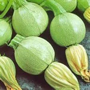 Кабачок Найс