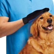 перчатка для вычесывания шерсти
