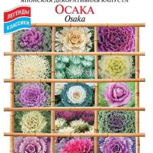 Капуста Осака Капуста Осака