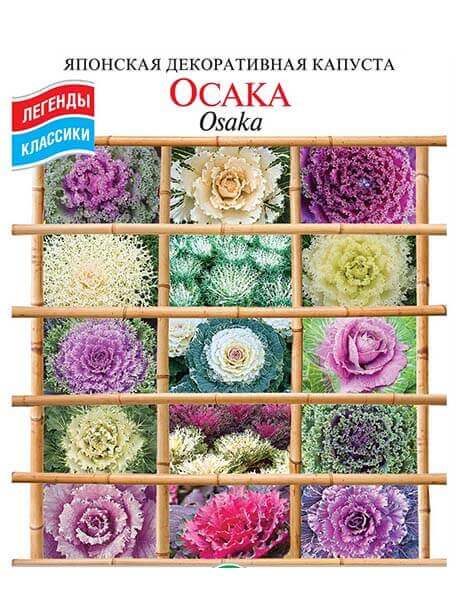 Капуста Осака