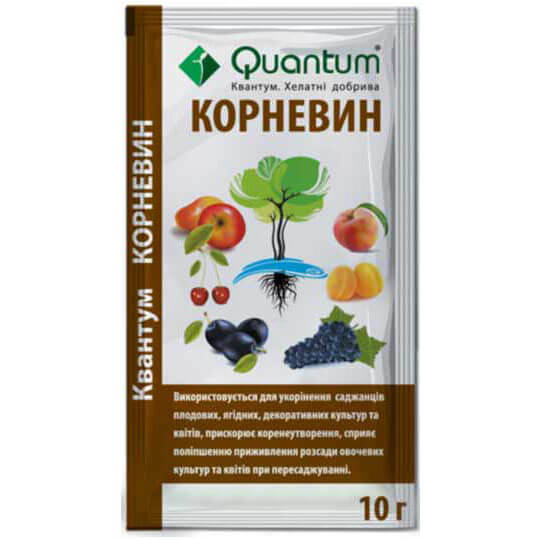 Корневин Квантум
