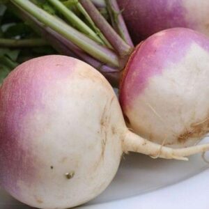 Турнепс (репа) Самсон