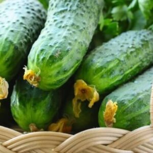 Огурец Митяй F1