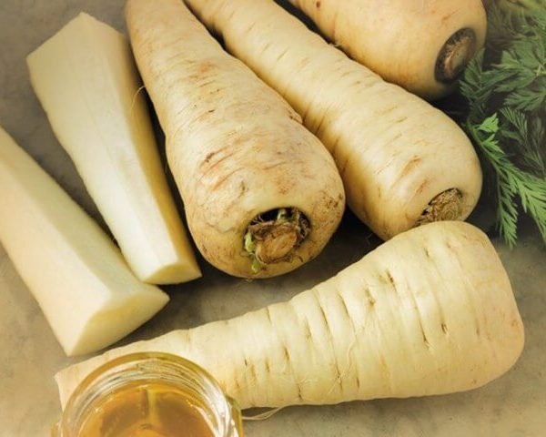 Пастернак Гернси