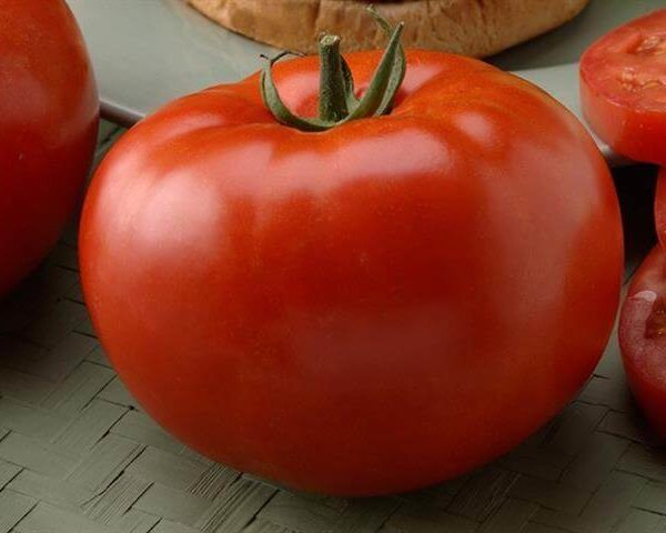 Томат Чероки Рэд Томат Чероки Рэд