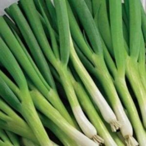 Лук-батун Валлийская весна