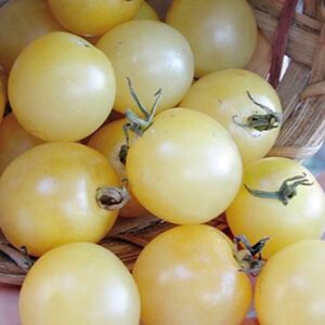 Томат Белоснежка (черри)