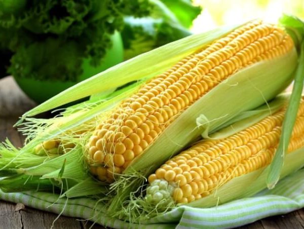 Кукуруза Медовые булочки