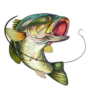 Лавка рибалки