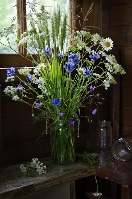 букет васильков и ромашек