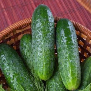 Огурец Щедрый F1