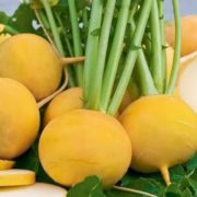 Репа Апельсиновое желе