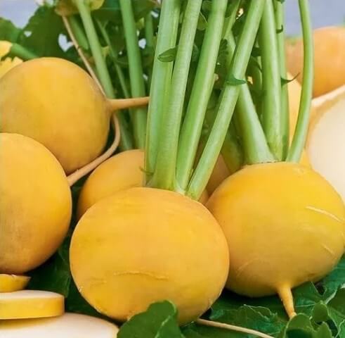 Репа Апельсиновое желе Репа Апельсиновое желе